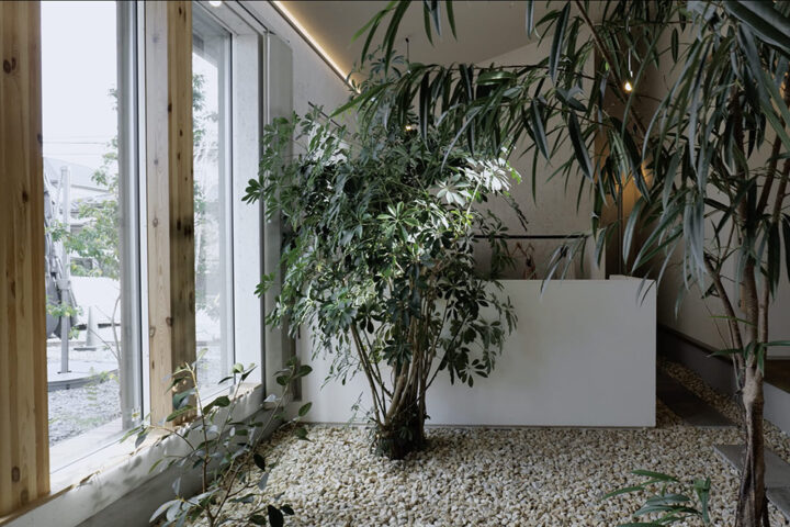 住まいの中心にあるインナーガーデン