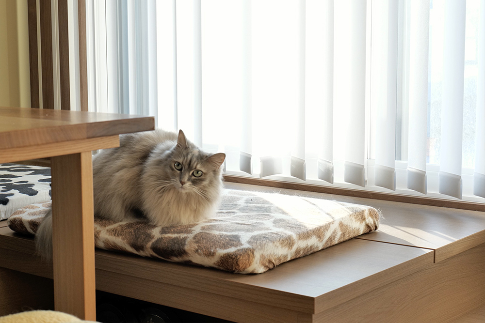 住まいの“効率”と“気持ちよさ”を底上げする