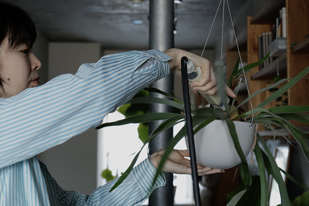 住まいを豊かに彩る植物ストリート